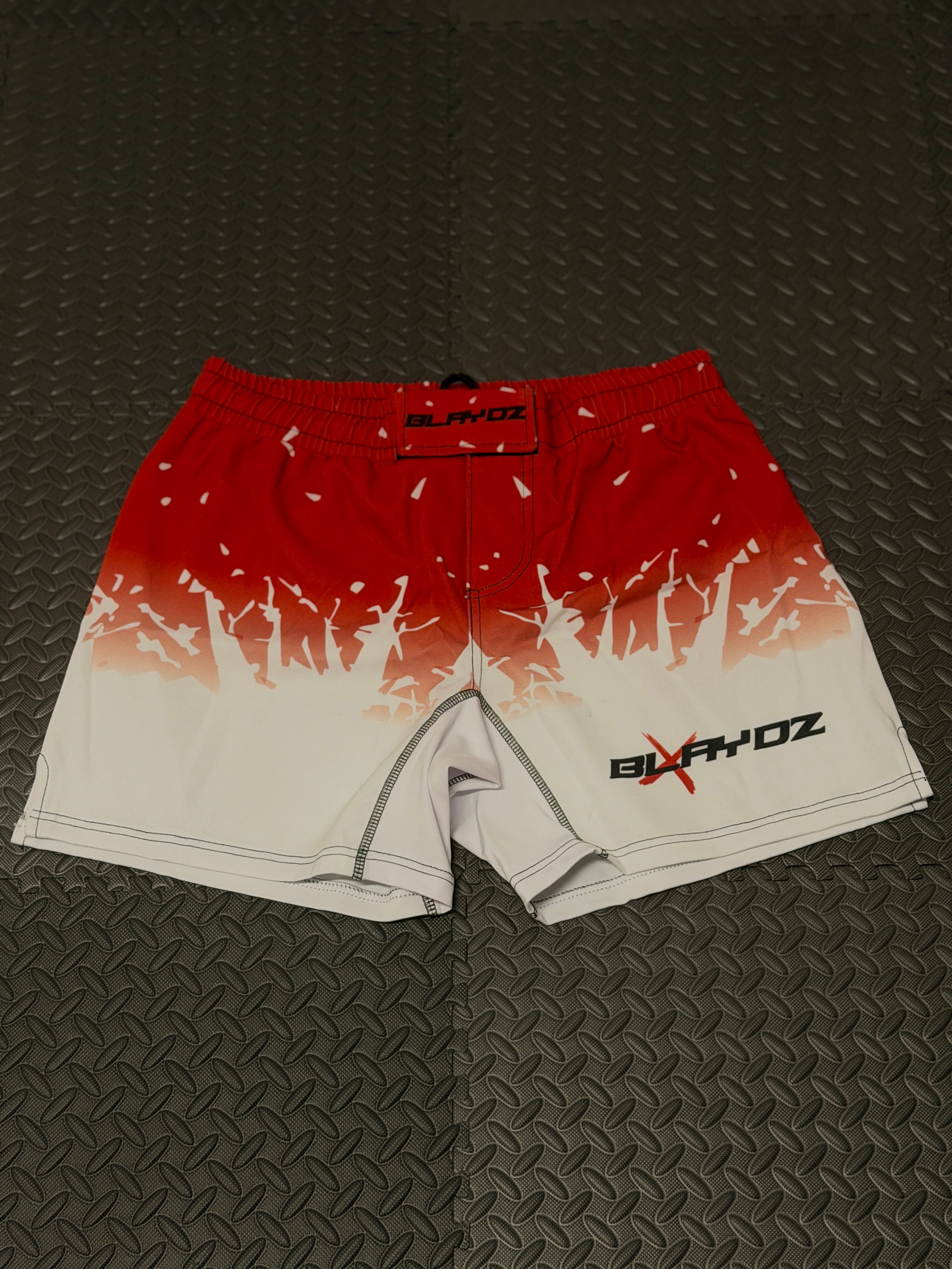 2er Set - Rashguard Shirt & Fightshort Set - Blaze Strike Collection