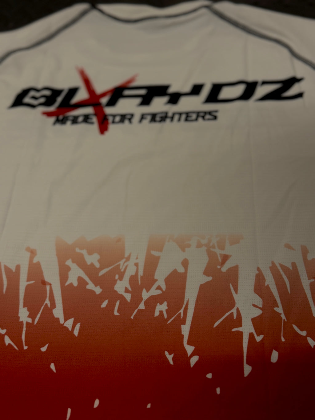 3er Set - Boxhandschuhe, Rashguard Shirt, Fightshort - Blaze Strike Collection